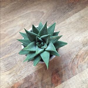 Meet your Posher, Clare